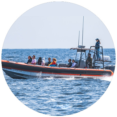 The Tern, a rigid inflatable boat, takes passengers out to sea to look for whales and other marine wildlife in Southern California.